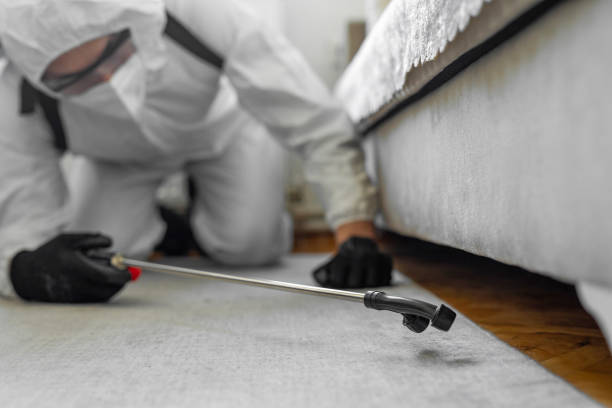 Professional Cockroach Control technician working in Delaware County County, IN